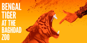 The background features a gradient from orange to yellow. On the left side, bold white text reads: BENGAL TIGER AT THE BAGHDAD ZOO. In the center-right, there's a fierce Bengal tiger, its mouth wide open, teeth bared in a roar or snarl. Opposite the tiger, a human hand (wearing a long-sleeved shirt or jacket) is extended, making a finger-gun gesture pointing directly into the tiger’s mouth. There’s a splatter effect at the top.